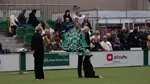 Crufts 2026 Obedience Prints: Crufts Obedience Championship Bitches Sunday 8th March 2026
