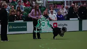 Crufts 2026 Obedience Prints: Crufts Obedience Championship Bitches Sunday 8th March 2026