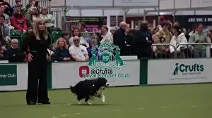 Crufts 2026 Obedience Prints: Crufts Obedience Championship Bitches Sunday 8th March 2026
