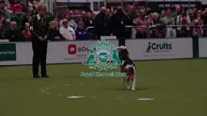 Crufts 2026 Obedience Prints: Crufts Obedience Championship Bitches Sunday 8th March 2026
