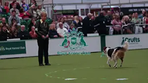 Crufts 2026 Obedience Prints: Crufts Obedience Championship Bitches Sunday 8th March 2026