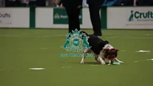 Crufts 2026 Obedience Prints: Crufts Obedience Championship Bitches Sunday 8th March 2026