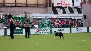 Crufts 2026 Obedience Prints: Crufts Obedience Championship Bitches Sunday 8th March 2026