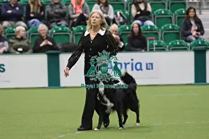 Crufts Obedience Dog Championships - Crufts 2026<br> Crufts Obedience Dog Championships - Crufts 2026