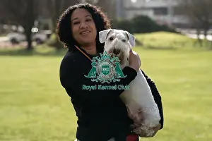Sealyham Terrier Prints: D-C-D-0-1-9-0 Crufts 2024 Misha Haywood Sealyham Terrier