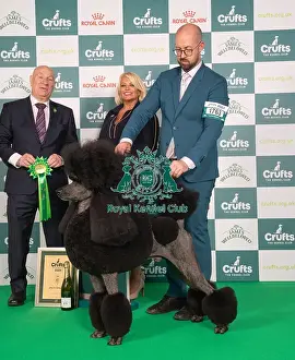 Jason Lynn Prints: D-C-D-0-1-9-0 Crufts 2024 NEC Birmingham Best In Group
