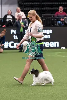 Rafa Prints: D-C-D-0-1-9-0 Crufts 2024 NEC Birmingham Day 1