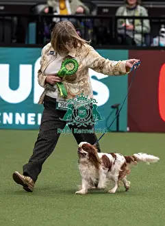 D-C-D-0-1-9-0 Crufts 2024 NEC Birmingham Day 1