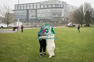 Pyrenean Mountain Dog Prints: D-C-D-0-1-9-0 Crufts 2024 NEC Birmingham Day 1