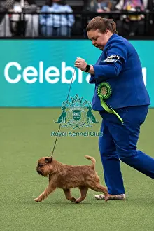 Action Prints: D-C-D-0-1-9-0 Crufts 2024 NEC Birmingham Day 1