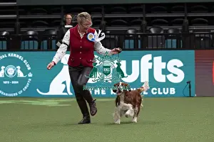 Action Prints: D-C-D-0-1-9-0 Crufts 2024 NEC Birmingham Day 1
