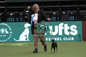 Action Prints: D-C-D-0-1-9-0 Crufts 2024 NEC Birmingham Day 1