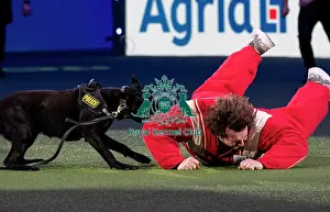 West Midlands Police Display Prints: D-C-D-0-1-9-0 Crufts 2024 NEC Birmingham Day 1