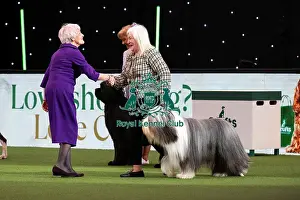 Judge Prints: D-C-D-0-1-9-0 Crufts 2024 NEC Birmingham Day 1
