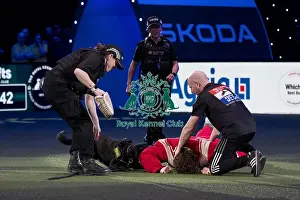 West Midlands Police Display Prints: D-C-D-0-1-9-0 Crufts 2024 NEC Birmingham Day 1