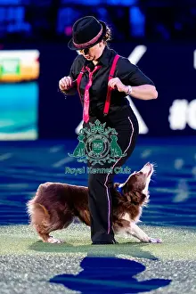 Heelwork To Music Prints: D-C-D-0-1-9-0 Crufts 2024 NEC Birmingham Day 1