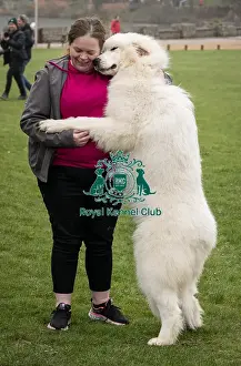 D-C-D-0-1-9-0 Crufts 2024 NEC Birmingham Day 1