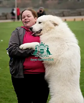 D-C-D-0-1-9-0 Crufts 2024 NEC Birmingham Day 1