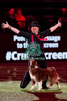 Heelwork To Music Prints: D-C-D-0-1-9-0 Crufts 2024 NEC Birmingham Day 1
