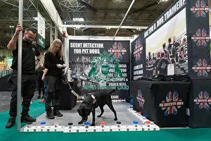 Retriever Labrador Prints: D-C-D-0-1-9-0 Crufts 2024 NEC Birmingham Day 1