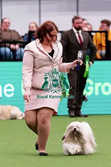 Action Prints: D-C-D-0-1-9-0 Crufts 2024 NEC Birmingham Day 1