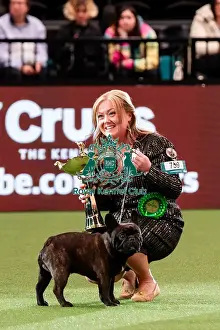 Action Prints: D-C-D-0-1-9-0 Crufts 2024 NEC Birmingham Day 1