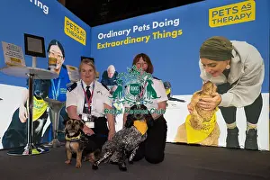 Spaniel Cocker Prints: D-C-D-0-1-9-0 Crufts 2024 NEC Birmingham Day 1