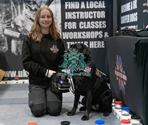 Retriever Labrador Prints: D-C-D-0-1-9-0 Crufts 2024 NEC Birmingham Day 1
