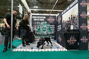 Retriever Labrador Prints: D-C-D-0-1-9-0 Crufts 2024 NEC Birmingham Day 1