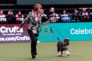 Action Prints: D-C-D-0-1-9-0 Crufts 2024 NEC Birmingham Day 1