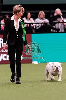 Day 1 Prints: D-C-D-0-1-9-0 Crufts 2024 NEC Birmingham Day 1