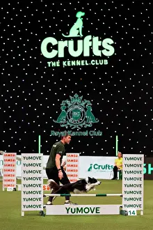 Dalton Meredith Prints: D-C-D-0-1-9-0 Crufts 2024 NEC Birmingham Day 1