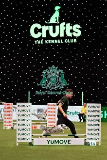Martin Reid Prints: D-C-D-0-1-9-0 Crufts 2024 NEC Birmingham Day 1
