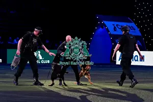 Display Prints: D-C-D-0-1-9-0 Crufts 2024 NEC Birmingham Day 1