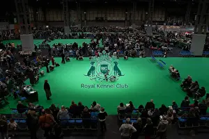 D-C-D-0-1-9-0 Crufts 2024 NEC Birmingham Day 1