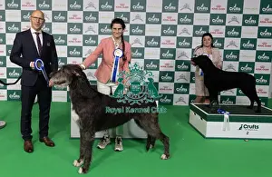 D-C-D-0-1-9-0 Crufts 2024 NEC Birmingham Day 1