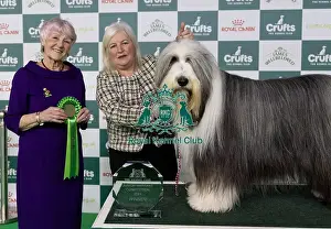 Judge Prints: D-C-D-0-1-9-0 Crufts 2024 NEC Birmingham Day 1