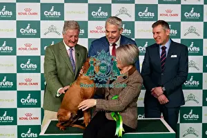 The Kennel Club Prints: D-C-D-0-1-9-0 Crufts 2024 NEC Birmingham Day 2