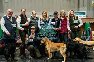Retriever Labrador Prints: D-C-D-0-1-9-0 Crufts 2024 NEC Birmingham Day 2