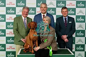 D-C-D-0-1-9-0 Crufts 2024 NEC Birmingham Day 2
