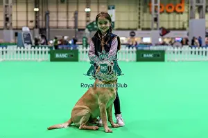 Day 2 Prints: D-C-D-0-1-9-0 Crufts 2024 NEC Birmingham Day 2