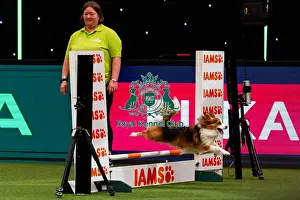 Small Prints: D-C-D-0-1-9-0 Crufts 2024 NEC Birmingham Day 2