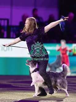 Freestyle Heelwork To Music Prints: D-C-D-0-1-9-0 Crufts 2024 NEC Birmingham Day 2