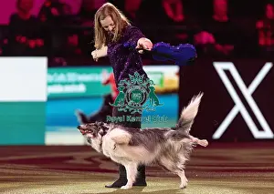 Freestyle Heelwork To Music Prints: D-C-D-0-1-9-0 Crufts 2024 NEC Birmingham Day 2