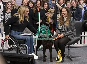 Retriever Curly Coated Prints: D-C-D-0-1-9-0 Crufts 2024 NEC Birmingham Day 2