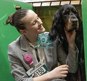 Gordon Setter Prints: D-C-D-0-1-9-0 Crufts 2024 NEC Birmingham Day 2