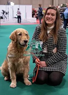 Retriever Golden Prints: D-C-D-0-1-9-0 Crufts 2024 NEC Birmingham Day 2