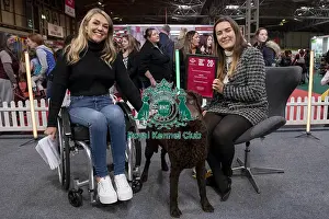 Retriever Curly Coated Prints: D-C-D-0-1-9-0 Crufts 2024 NEC Birmingham Day 2