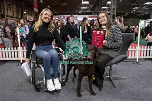 Retriever Curly Coated Prints: D-C-D-0-1-9-0 Crufts 2024 NEC Birmingham Day 2