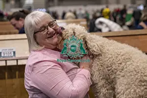 Spanish Water Dog Prints: D-C-D-0-1-9-0 Crufts 2024 NEC Birmingham Day 2